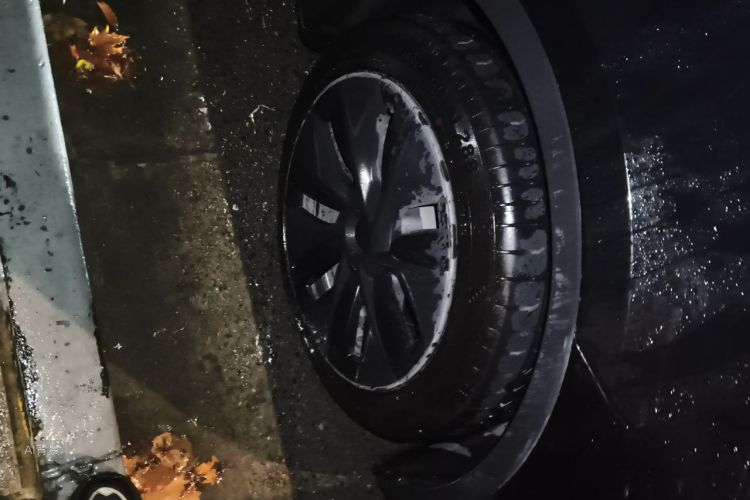 Tesla Model Y 2024 immagine di auto #9