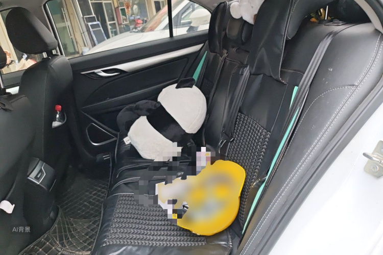 GEELY Emgrand 2020 car image #19