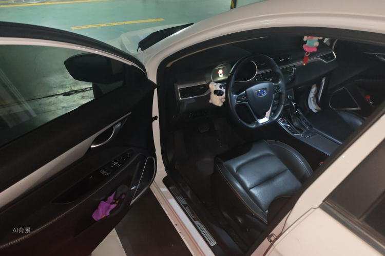 GEELY Emgrand 2019 immagine di auto #18