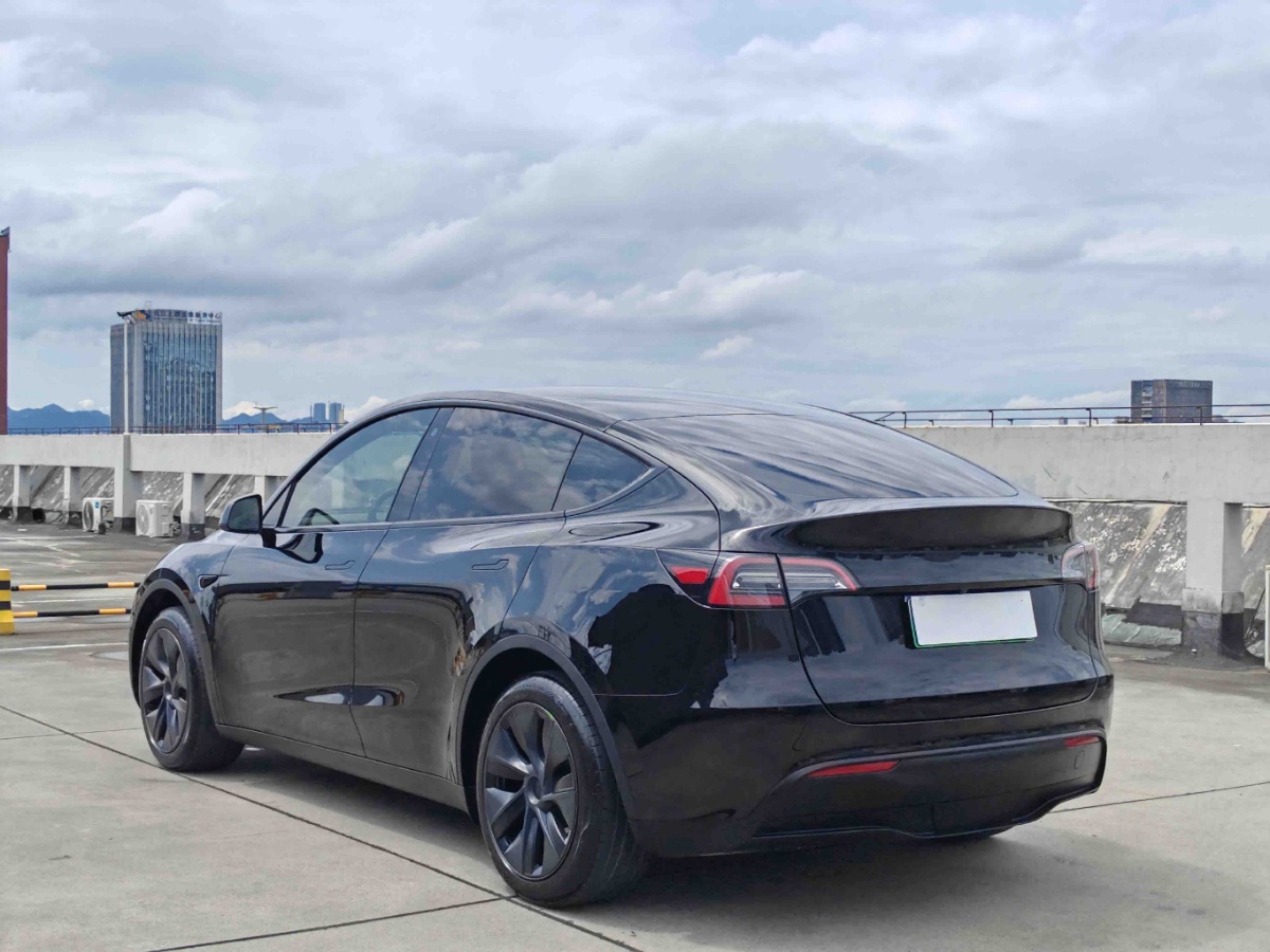 Tesla Model Y 2023 #3 Tesla Model Y 2023 car image #3