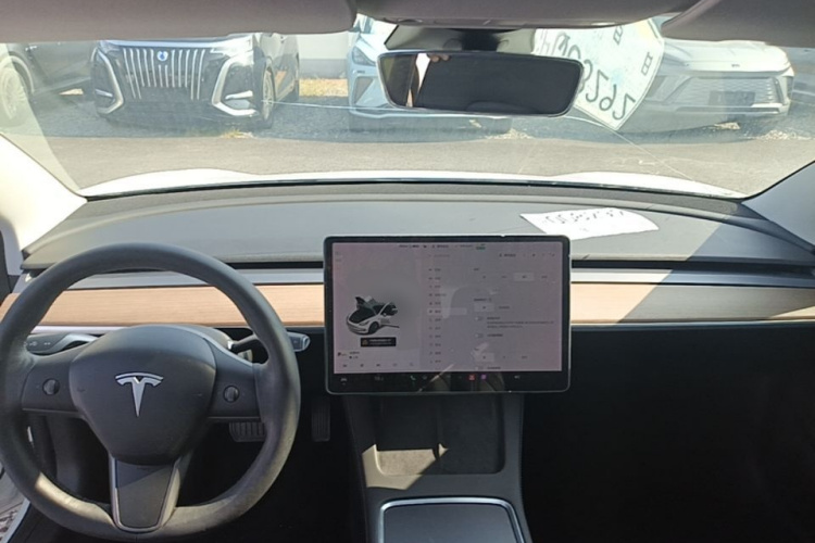 Tesla Model 3 2021 car image #10