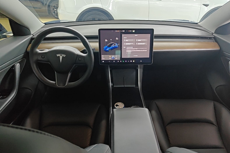 Tesla Model 3 2020 car image #10