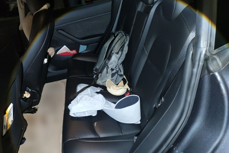 Tesla Model 3 2021 #10 Tesla Model 3 2021 car image #10