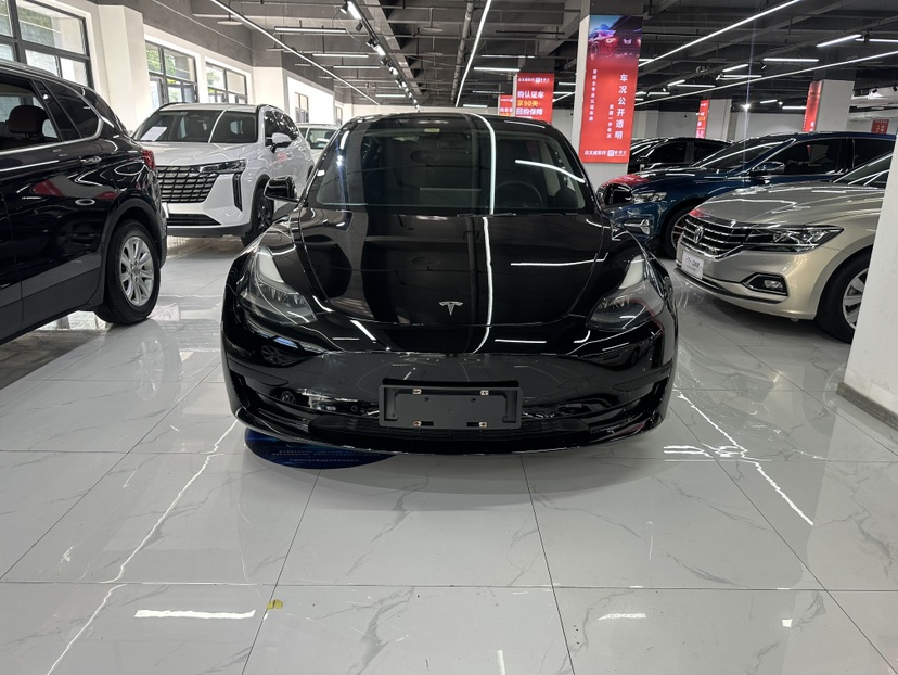 Tesla Model 3 2021 car image #2