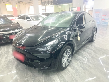 Tesla Model Y 2023 Tesla Model Y 2023 car image