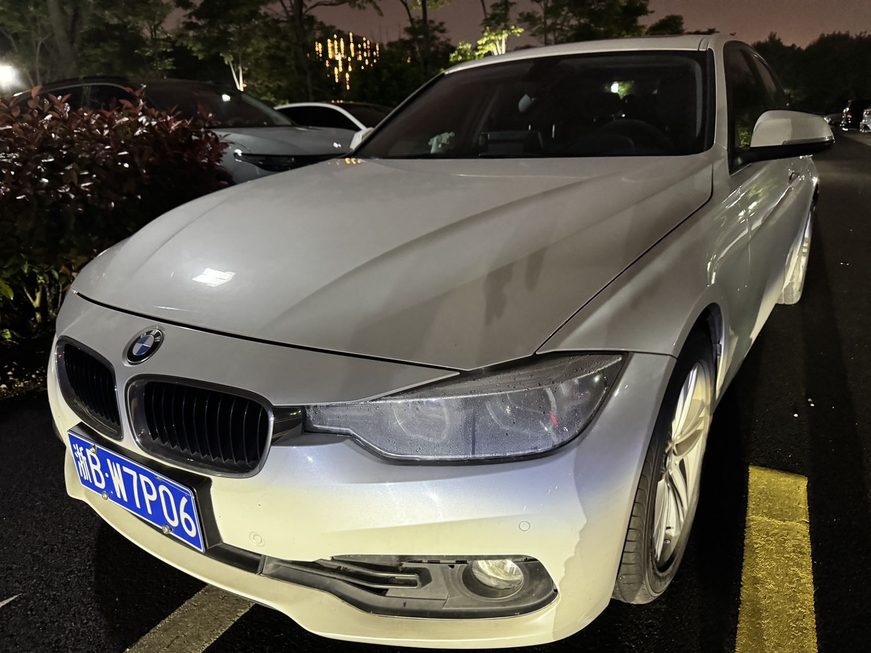 BMW 3 Series 2016 BMW 3 Series 2016 car image