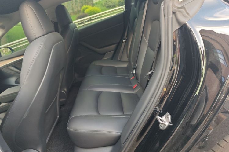Tesla Model 3 2021 #10 Tesla Model 3 2021 car image #10