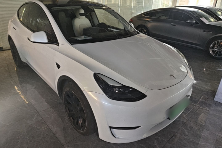 Tesla Model Y 2021 car image #4