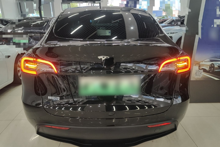 Tesla Model Y 2021 #6 Tesla Model Y 2021 car image #6