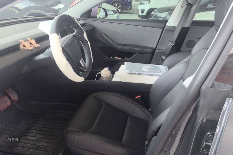 Tesla Model 3 2025 car image #17