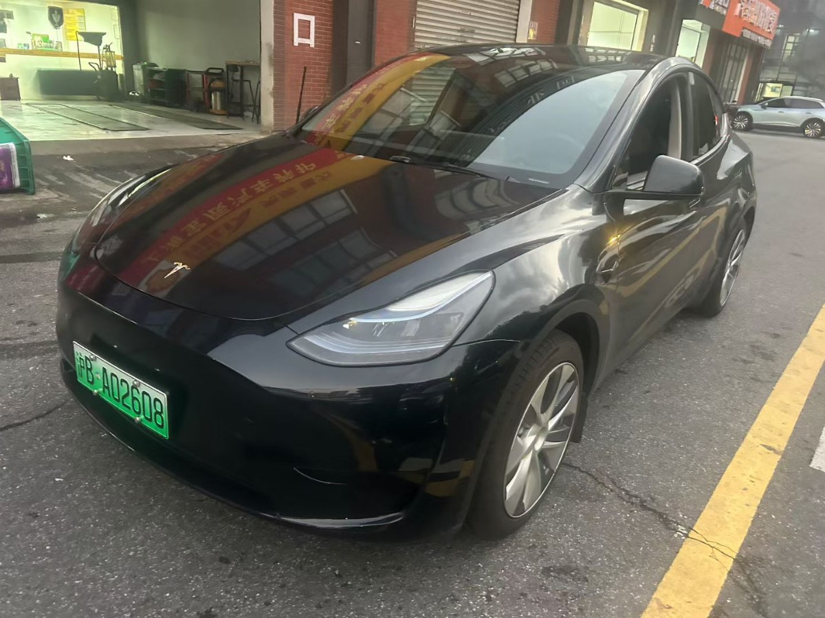 Tesla Model Y 2022 car image #2