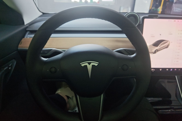 Tesla Model 3 2020 car image #15