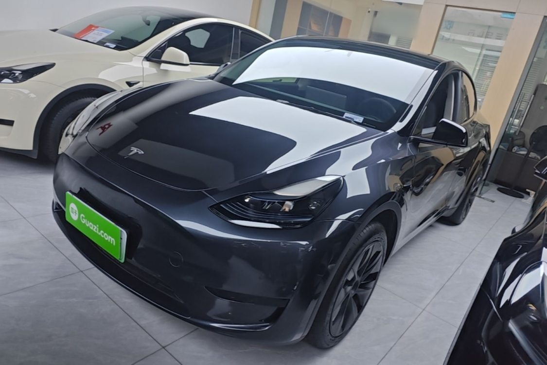 Tesla Model Y 2024 Tesla Model Y 2024 car image