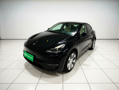 Tesla Model Y 2021 car image 