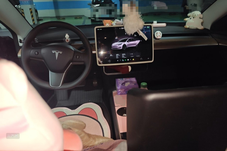 Tesla Model 3 2023 car image #11
