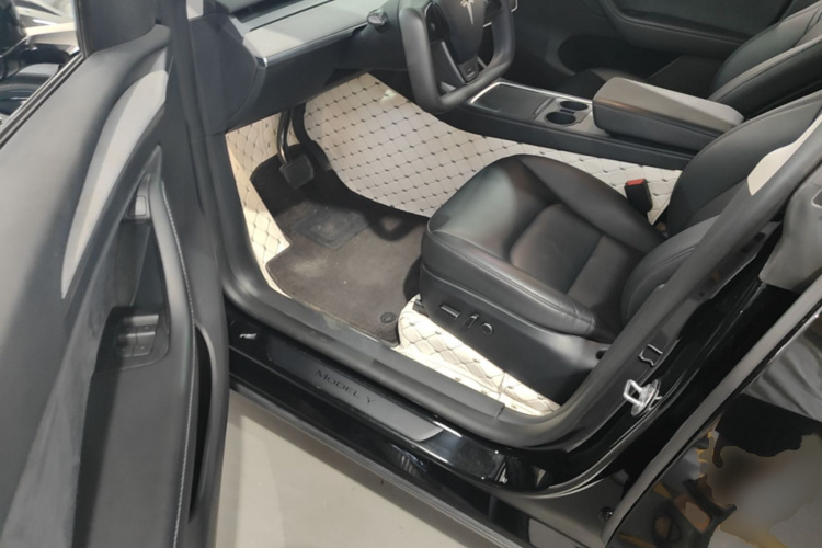 Tesla Model Y 2023 car image #16