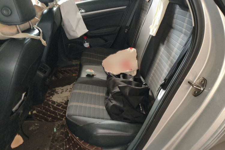 Volkswagen Lavida 2019 car image #14