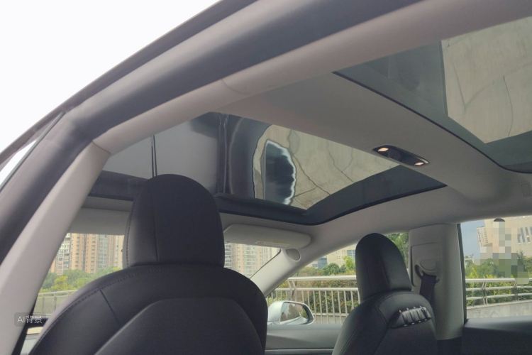 Tesla Model 3 2020 car image #20
