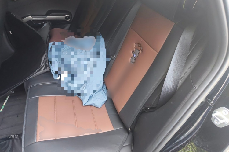BYD Yuan Plus 2024 car image #19