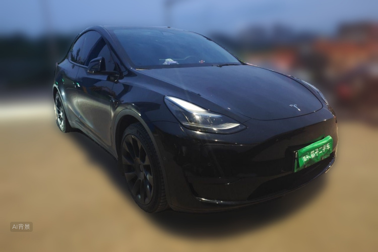 Tesla Model Y 2022 #4 Tesla Model Y 2022 car image #4
