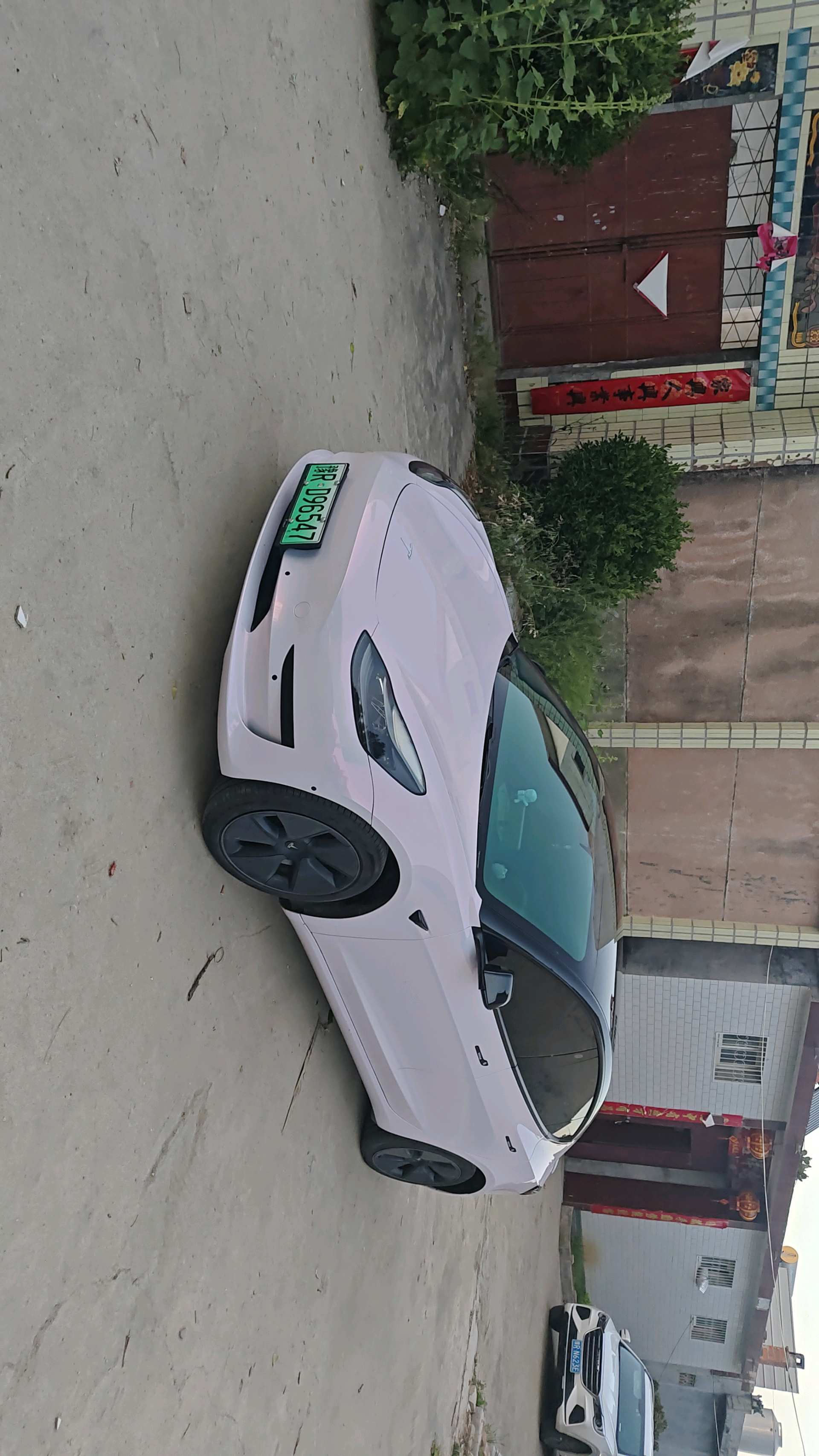 Tesla Model 3 2021 car image 