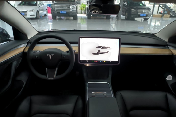 Tesla Model 3 2022 car image #10
