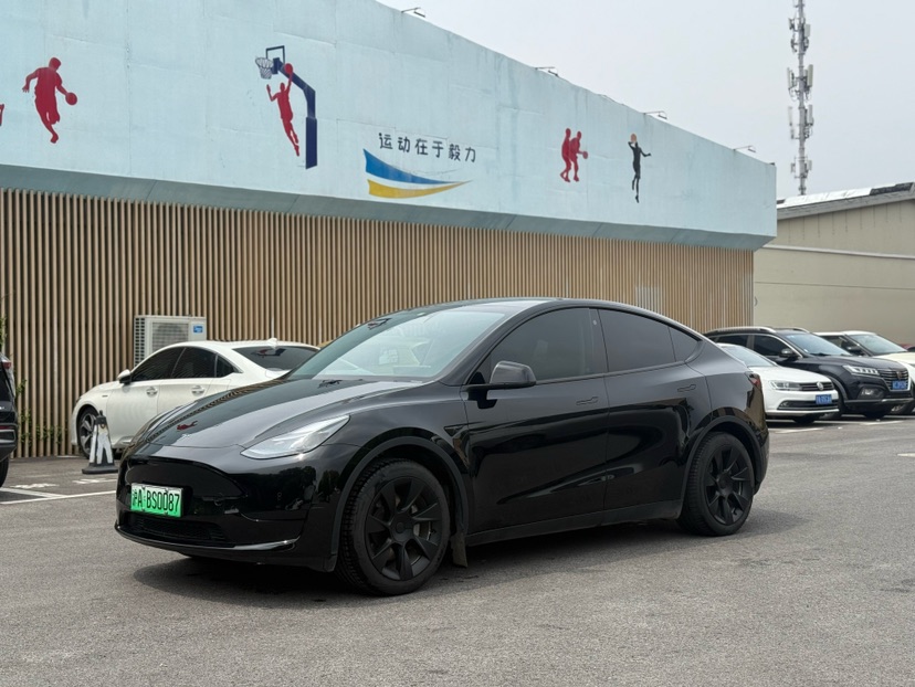 Tesla Model Y 2023 Tesla Model Y 2023 car image