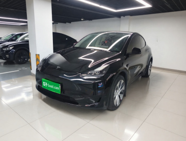 Tesla Model Y 2022 car image 