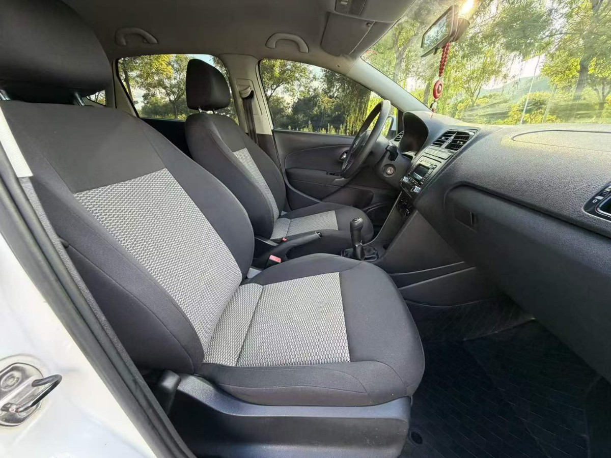 Volkswagen Polo 2013 car image #9