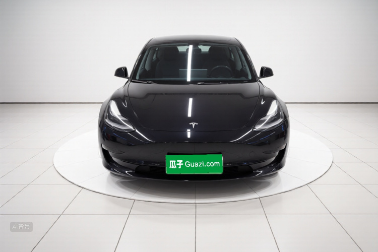 Tesla Model 3 2022 #3 Tesla Model 3 2022 car image #3