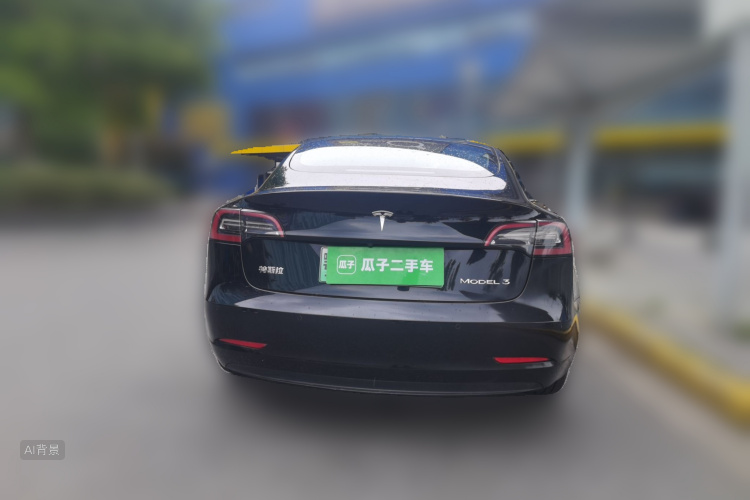 Tesla Model 3 2021 car image #6