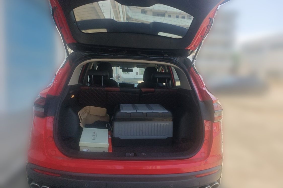 GEELY Coolray 2021 #8 GEELY Coolray 2021 immagine di auto #8