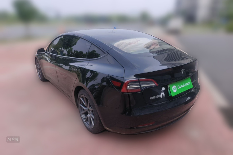 Tesla Model 3 2021 car image #5
