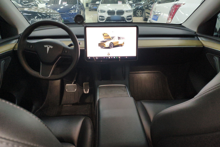 Tesla Model Y 2023 #10 Tesla Model Y 2023 car image #10