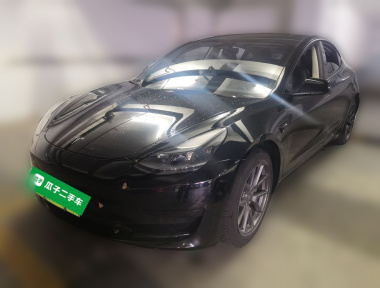 Tesla Model 3 2022 Tesla Model 3 2022 car image