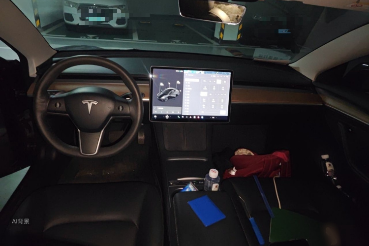 Tesla Model 3 2021 car image #11