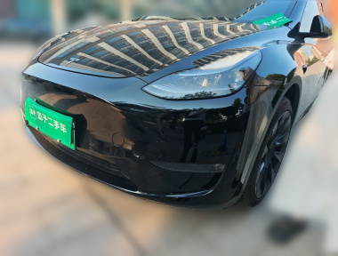 Tesla Model Y 2023 Tesla Model Y 2023 car image