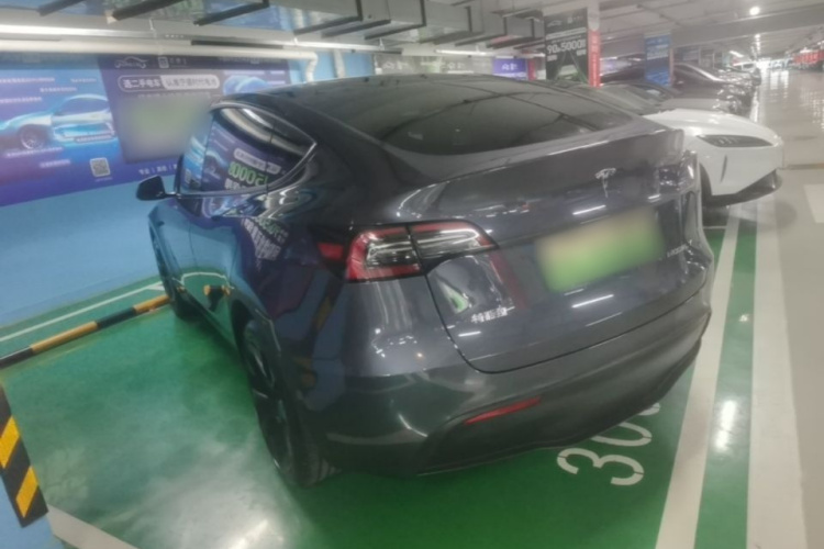 Tesla Model Y 2021 #5 Tesla Model Y 2021 car image #5