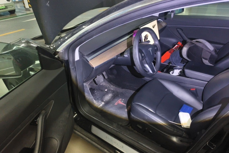 Tesla Model 3 2020 car image #13