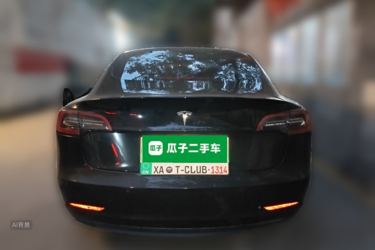 Tesla Model 3 2022 car image #6