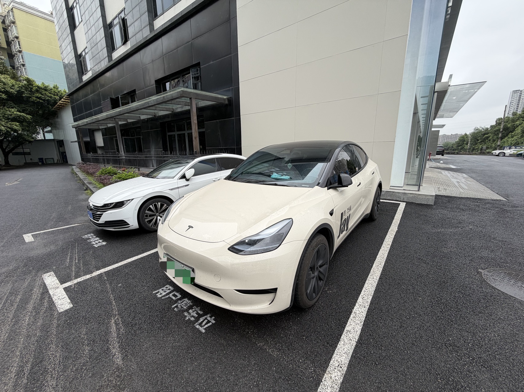 Tesla Model Y 2024 Tesla Model Y 2024 car image