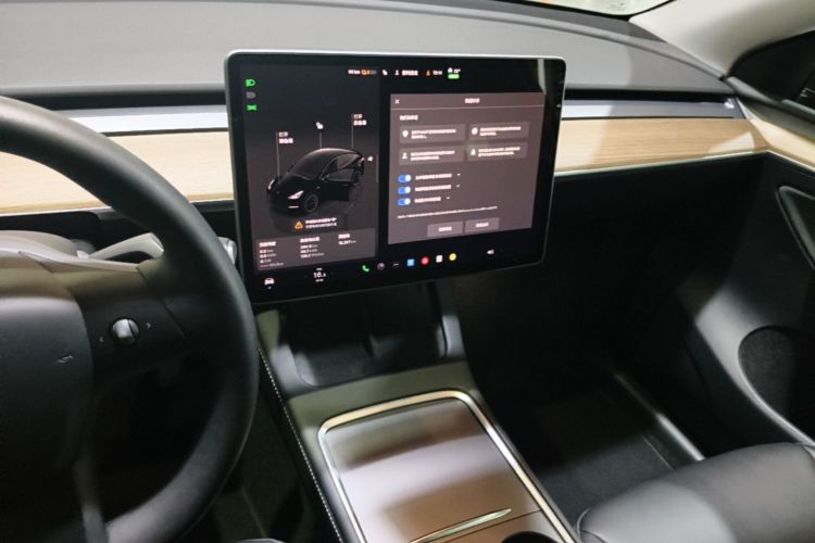 Tesla Model Y 2022 #13 Tesla Model Y 2022 car image #13