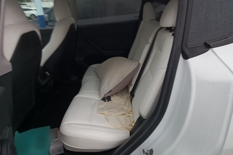Tesla Model Y 2023 car image #13
