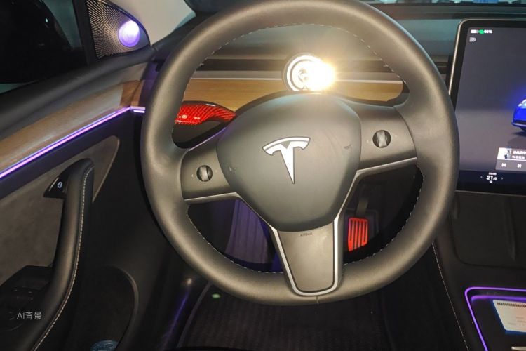 Tesla Model Y 2022 #12 Tesla Model Y 2022 car image #12