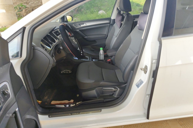 Volkswagen Golf 2019 #17 Volkswagen Golf 2019 car image #17