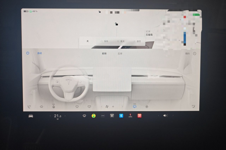 Tesla Model Y 2022 car image #13