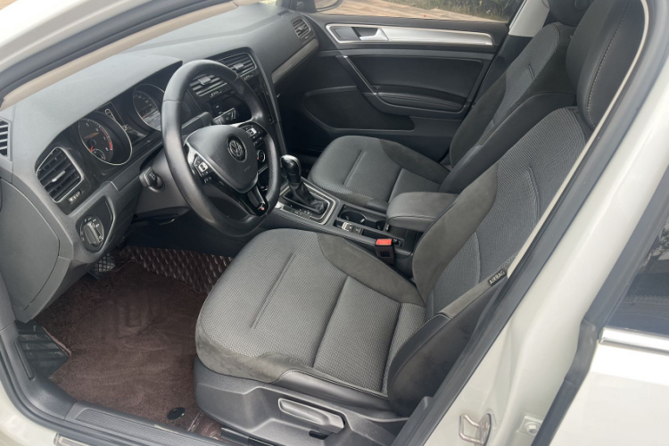 Volkswagen Golf 2019 car image #12