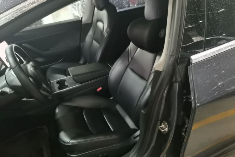 Tesla Model 3 2020 car image #15
