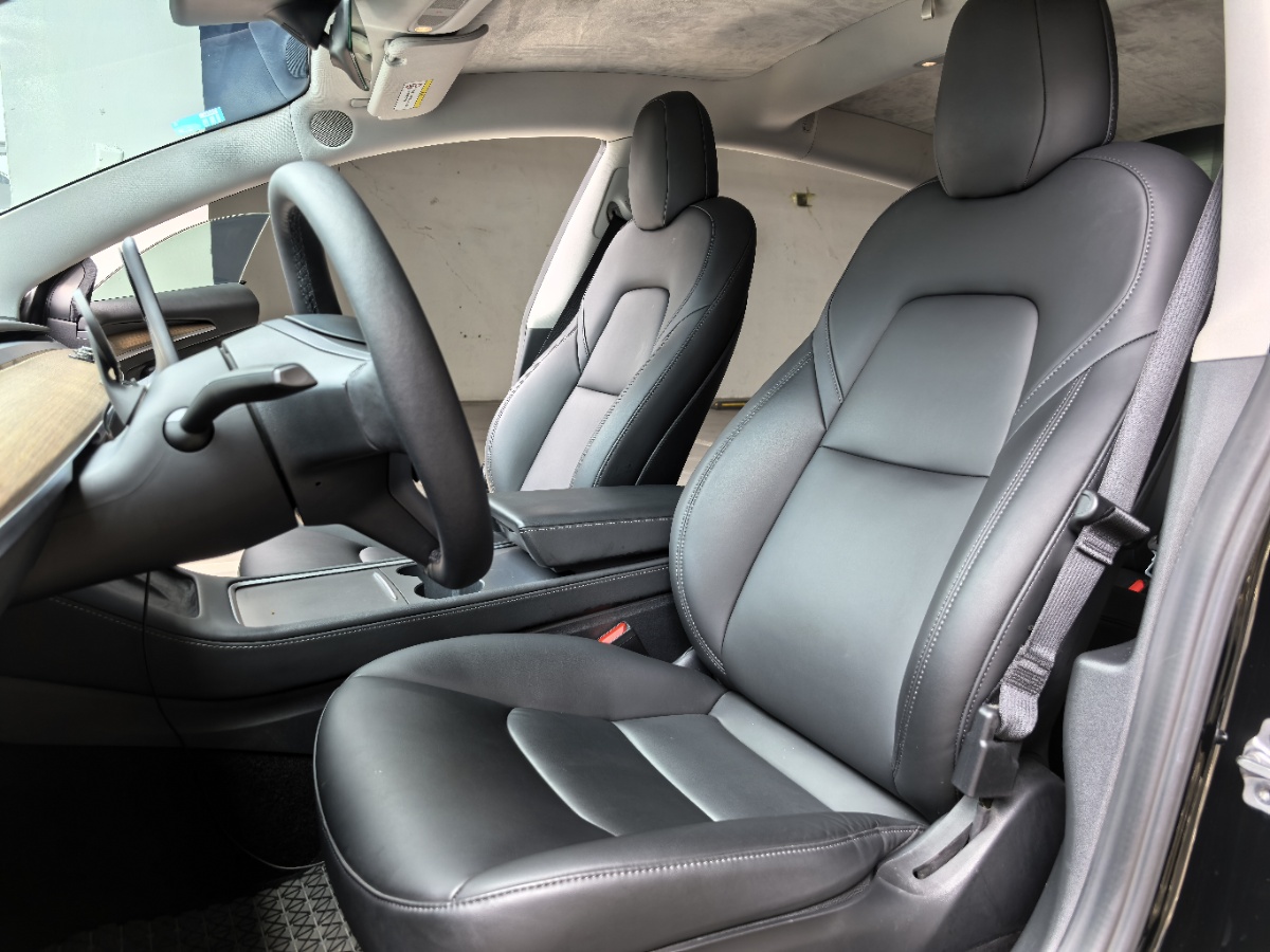 Tesla Model 3 2021 #5 Tesla Model 3 2021 car image #5