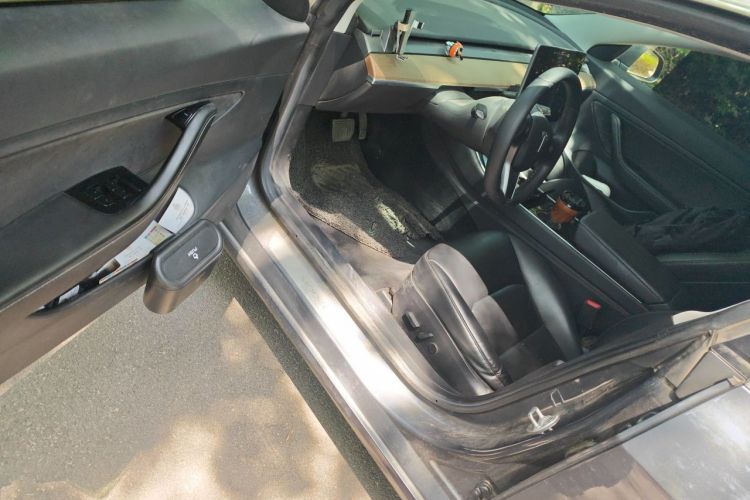 Tesla Model 3 2020 car image #9